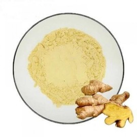 Galangal Extract Powder 100g Sample Sample