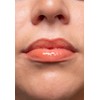 Tinted Lipgloss Terracota Moisturising Lip Balm with Colour SPF 50