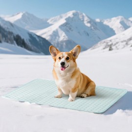 Soulbond Dog Cooling Mat - 25" x 35" Washable Cooling Mat for Dogs & Cats, QMAX>0.3, Anti-Slip Bottom, Portable Summer Cool Pet Pad for Indoor/Outdoor/Travel Use, Aqua Green