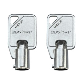 KeyPower (2) Keys GR700 Tubular Key for Greenwald Commercial Washer Door/Service Panel/Coin Washing Machine, Compatible with Maytag Whirlpool HPC Speed Queen ESD Lock