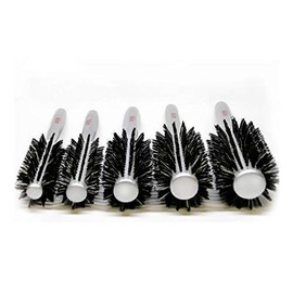Professional Hair Brushes Neutral Boar Bristle European Wood (Silver)5Pc By Alpha new York