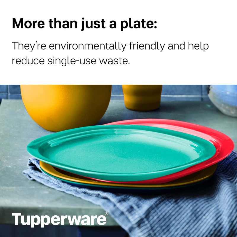 Tupperware Brand Microwave Reheatable Luncheon Plates - Dishwasher & Microwave