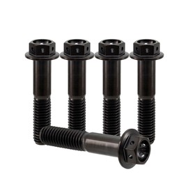 RISON Titanium Bolts M8 x 1.25 x 25 mm Titanium Flange Screws TC4 Titanium Screws Hex Screw Black GR5 Titanium Bolts Pack of 5