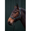 Posten Brisbane Headcollar Royal Blue Thoroughbred