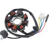 Trkimal Ignition Coil AC 8-Pin 5 Wires Stator Magneto 4-Stroke