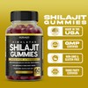 Shilajit Gummies 1000mg (Pure Himalayan Shilajit Gummies for Men &