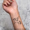 Azeeda 4 x 'Verzauberter Pegasus' Temporäre Tattoos - Wasserfest, Hautfreundlich