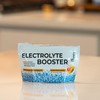 Electrolyte Booster by Formula 369-75 Servings for Daily Hydration, Exercise,