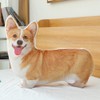 MISS TUTU Corgi Dog Super Soft Plush Throw Pillow Animal