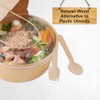 1Above 100Pk Disposable Wooden Cutlery Set, 100% Natural and Biodegradable,