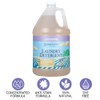 Ginger Lily Farms Botanicals Plant-Based Liquid Laundry Detergent, Lavender, Concentrated