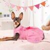 Dog Birthday Dress Dog Dress with Bowknot Tulle Birthday Princess