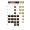 Schwarzkopf Igora Royal Premium Hair Colour, Pack of 1 (60