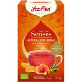 Yogi Tea FTS Natural Wellbeing 17 Bags