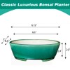 MUZHI 9” Glazed Oval Green Bonsai Planter Pot with Humidity