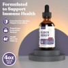 Rejuvica Health Active Elderberry Immune Support Supplement | 4 fl