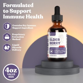 Rejuvica Health Active Elderberry Immune Support Supplement | 4 fl oz Value Size Liquid Extract