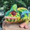 Vivid Arts - Chameleon - PP-CHAM-F