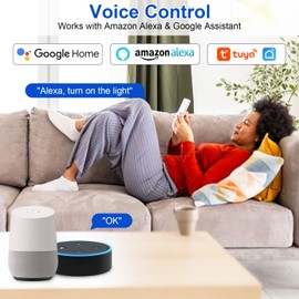 SOARFLY Smart Lichtschalter Modul 2-Weg, WLAN Schalter Smart Life Tuya App, Alexa Lichtschalter Smart Home, Sprachsteuerung/Timer, Mini DIY Smart Switch Relais Modul Kompatibel Alexa