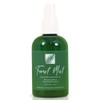 Bee Naturals Forest Mist - Personal and Environmental Mist with