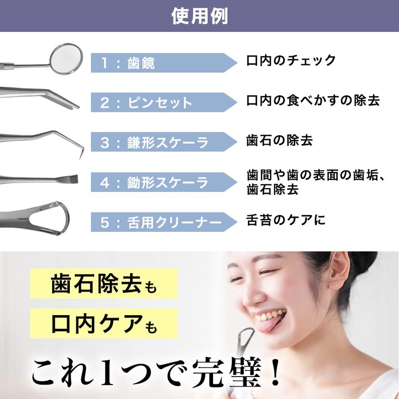 SW歯石取りツール