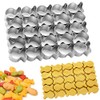 Goldfish Cracker Cutter, 25 Cavity Stainless Steel Cookie Cutter, Mini