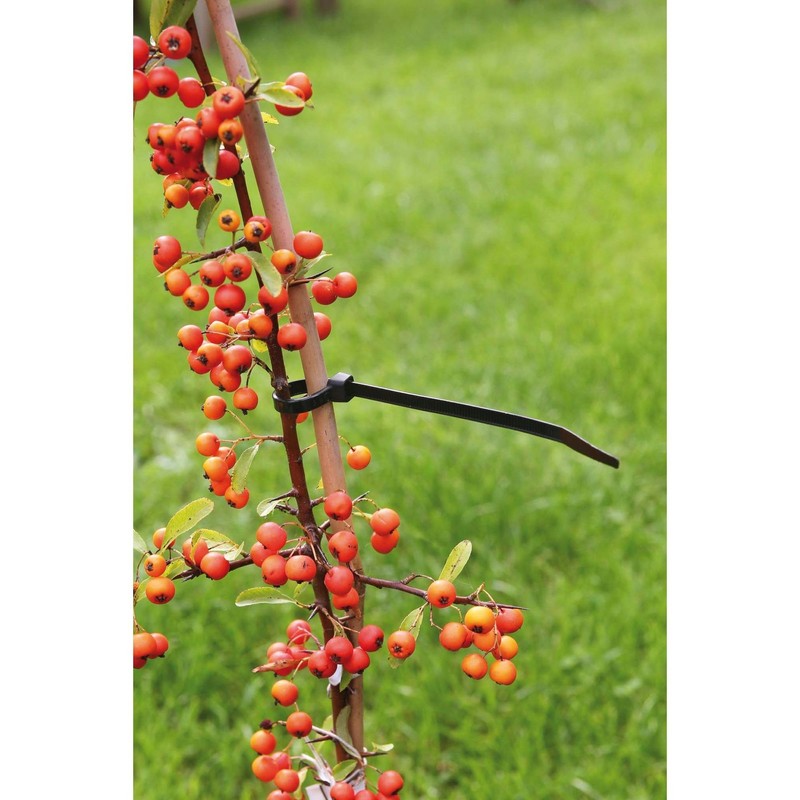 Cable Ties,200mm x 4.5mm,100 Pack,Black,Self Locking Zip Ties