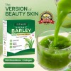 FITGUM Organic Barley Super Green Powder 15 Sachets – with