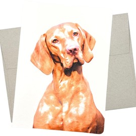Vizsla Card (1 Premium Quality Folded Card, Blank Inside, 5X7 Inch) for Vizsla Birthday, Thank You, Get Well and Pet Sympathy - 501