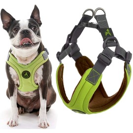 Gooby Escape Free Memory Foam Harness - Green, Large - No Pull Step-in Small Dog Harness with Four Point Adjustment - Perfect on The Go Dog Harness for Medium Dogs No Pull and Small Dogs