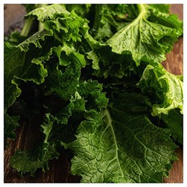 Everwilde Farms - 1 Oz Seven Top Turnip Seeds - Gold Vault