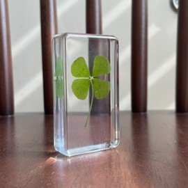 Lyntrique Real 4 Leaf Clover in Lucite – Lucky Charm Desk & Shelf Decor, Birthday Gifts for Women, Anxiety Relief & Self Care Gifts, Retirement, Graduation & Thank You Keepsake