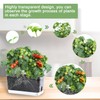 Oliz Self Watering Planters - 4 Pack Rectangular Clear Plant