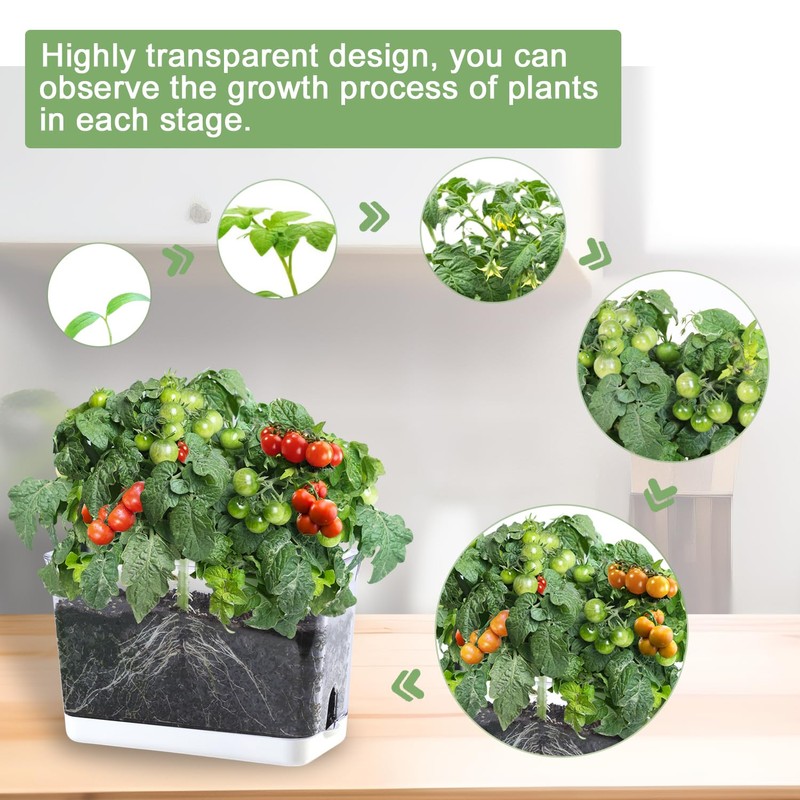 Oliz Self Watering Planters - 4 Pack Rectangular Clear Plant