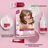 L'Oréal Paris Excellence Creme 6.1 Light brown hair colour