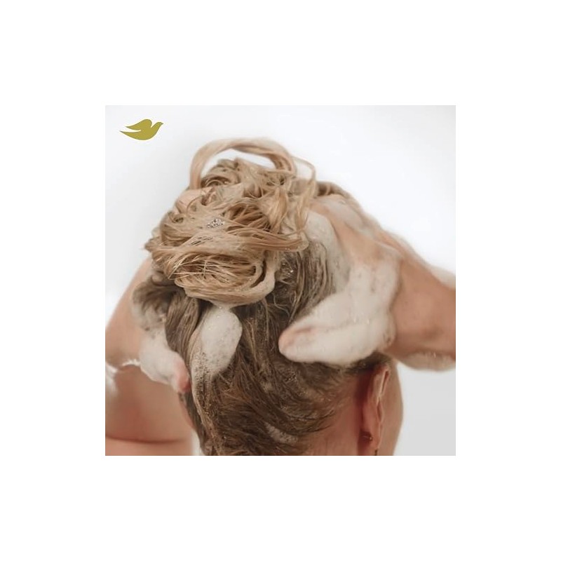 Dove Set de Champú y Acondicionador Bond Strength - Tratamiento