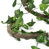 Reptile Climbing Branch Flexible Jungle 3.28ft Rattan 1Pc Vine(3.28ft Rattan+Scindapsus