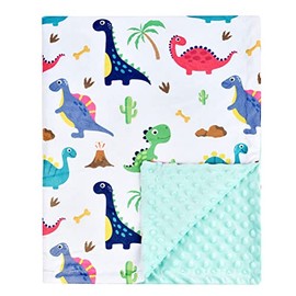 Baby Blanket Super Soft Minky Blanket Blue Rainbow Blanket with Dotted Backing for Newborns Nursery Stroller Receiving Toddlers Crib Bedding for Boy or Girl(30 x 40 Inch) (Dinosaur)