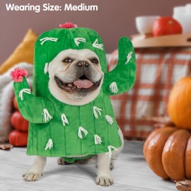 cyeollo-Disfraz de Perro Divertido, Disfraz de Cactus para Perro, Disfraz de Cosplay, Ropa Linda para Halloween, Trajes de Fiesta para Perros pequeños y medianos, XS