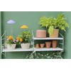 Northpoint LED 7 W Plant Light Plant Lamp Plant Lighting