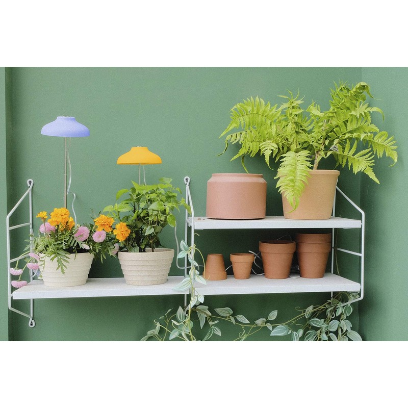 Northpoint LED 7 W Plant Light Plant Lamp Plant Lighting