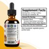 Active Turmeric - Advanced Liquid Supplement - Curcuma Longa Extract