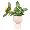 Face Flower Pot Head Planter Pot Cute Resin Succulent Planter