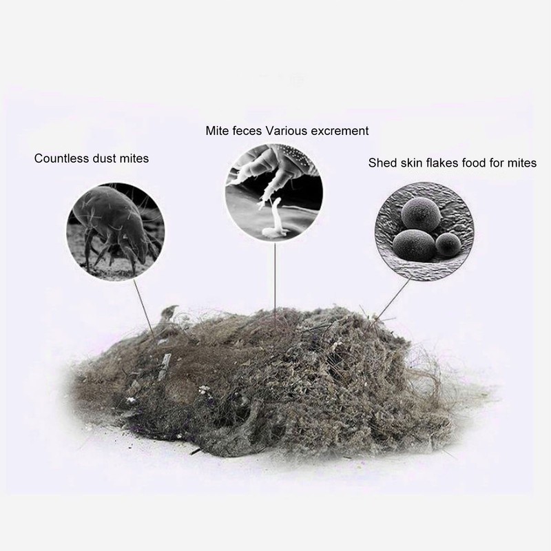 Mattress Vacuum Cleaner USB Charging Electric High Pressure Household Mite