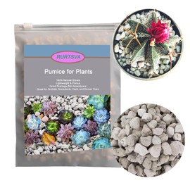 Horticultural Pumice for Plants 2QT, Natural Organic Pumice Stones for Succulent Cactus Bonsai Tree Orchid Potting Mixed, Improves Soil Aeration and Drainage, Promotes Root