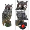 Solar Powered Owl Hunting Decoy Bird Scarer Deterrent Pest Control
