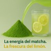 Teisti - Matcha Limonada, Bebida Saborizada en Polvo, 180g