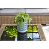 Tymar Flower Pot, Set of 2, Round Shape, Planter (Black/Gold,