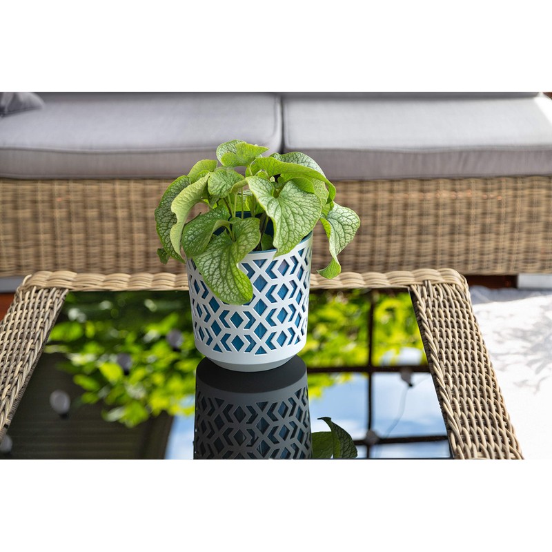 Tymar Flower Pot, Set of 2, Round Shape, Planter (Black/Gold,