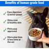 PetPlate Human-Grade Fresh Dog Food, Chompin’ Chicken Entrée – Wet